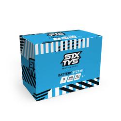 SIXTY5 STZ12S GEELI AKKU (4)