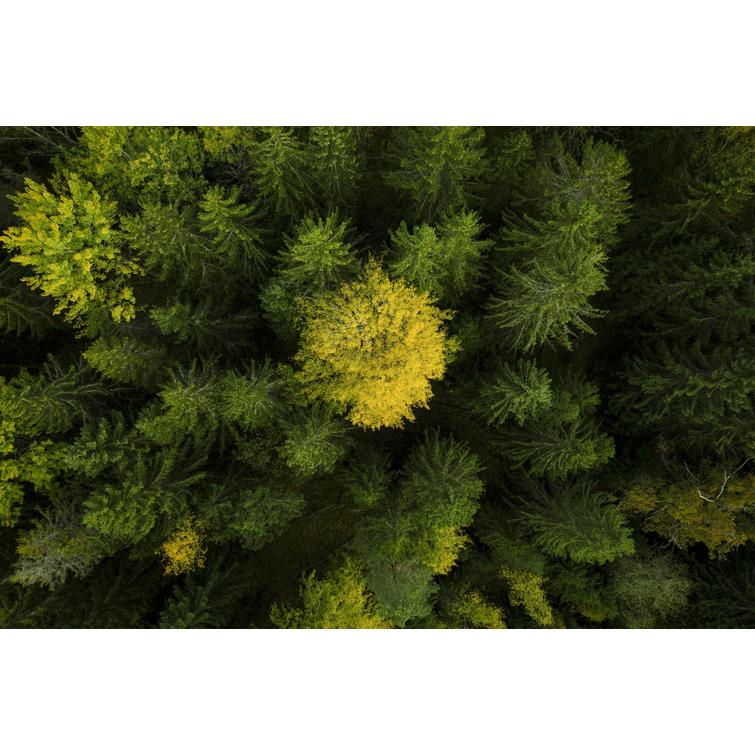 542I XPG 13" SP33G, EI AKKU/LATURI, KESKIPAKOKYTK.