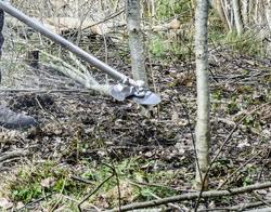 545FX AUTOTUNE, SCARLETT 225-24 (1"), BALANCE XT