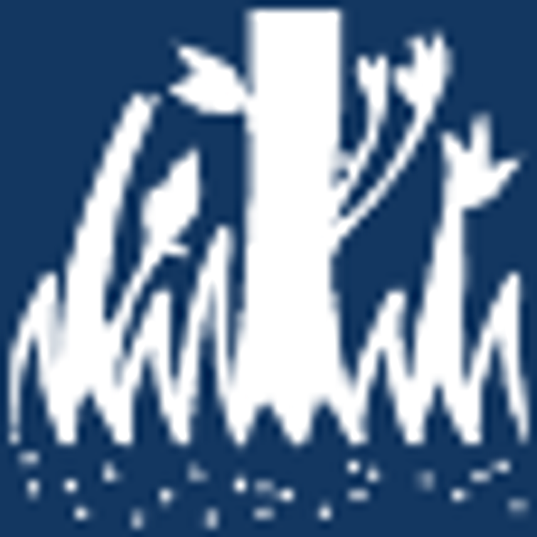 RAIVAUSTERÄ SCARLETT 225/1" 24T