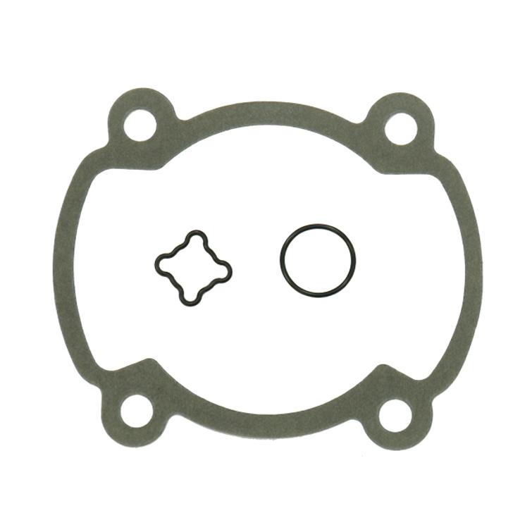 SNO-X YLÄPÄÄN TIIV.SARJA ROTAX 250 FC