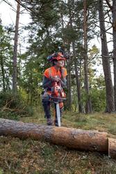 HUSQVARNA 550 XP&reg; MARK II