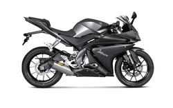 AKRAPOVIC RACING LINE (TITAANI) MT-125 2014-19 , YZF-R 125 2