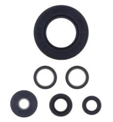 ATHENA STEFASARJA MOTOR Z 750 / ABS