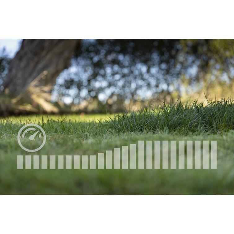 LC 142IS, 40-B140 + 40-C80