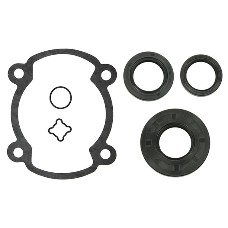 SNO-X TÄYDELLINEN TIIVISTESARJA ROTAX 250 FC