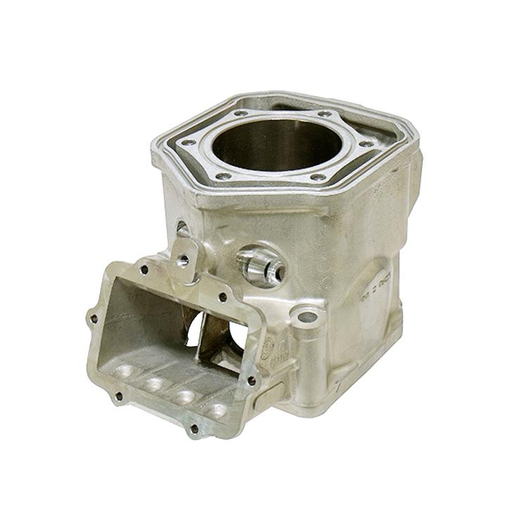 SNO-X SYLINTERI ROTAX 600CC SDI