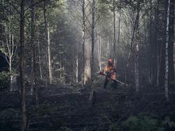 545FXT AUTOTUNE, SCARLETT 225-24 1", BALANCE XT, L