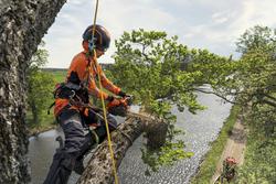 KETJU X-CUT SP21G 12" .325" 1,1 MM