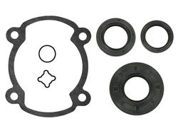 SNO-X T&Auml;YDELLINEN TIIVISTESARJA ROTAX 250 FC